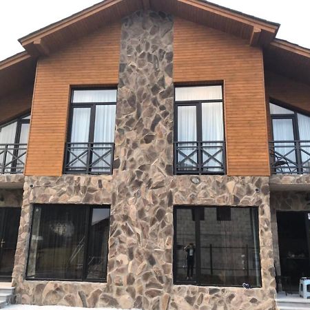 Bakuriani Cozy Villa #4 Dış mekan fotoğraf