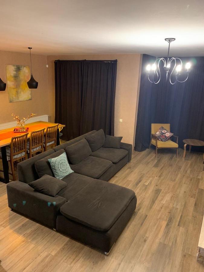 Bakuriani Cozy Villa #4 Dış mekan fotoğraf