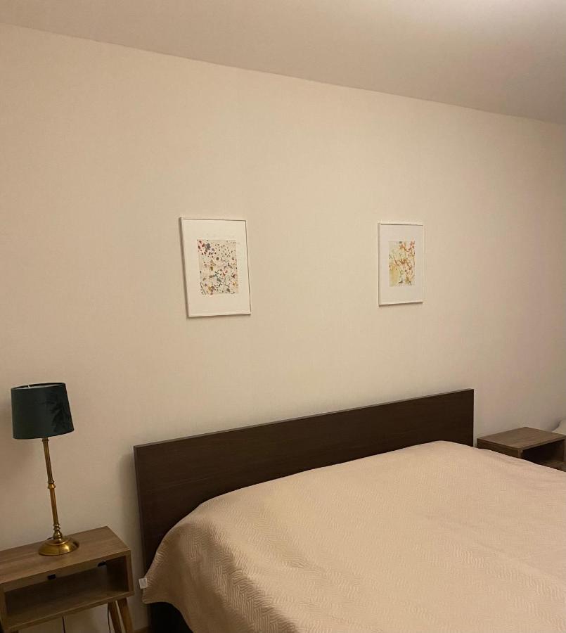 Bakuriani Cozy Villa #4 Dış mekan fotoğraf