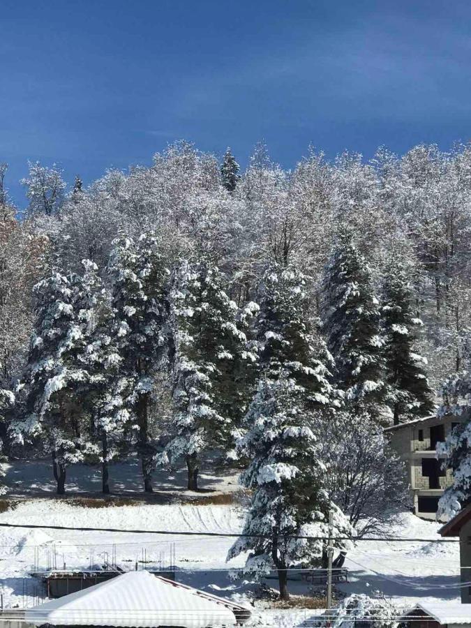 Bakuriani Cozy Villa #4 Dış mekan fotoğraf