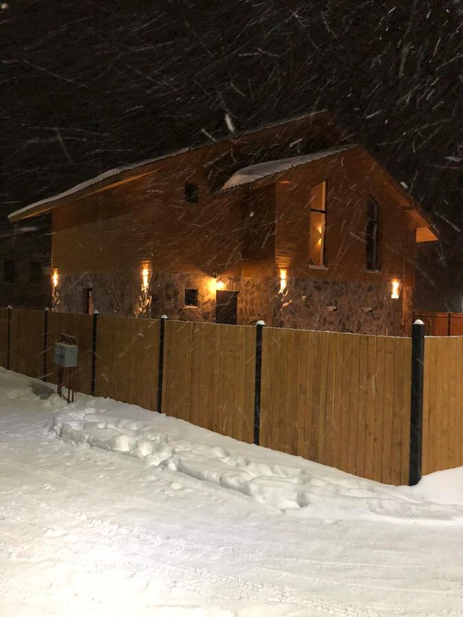Bakuriani Cozy Villa #4 Dış mekan fotoğraf